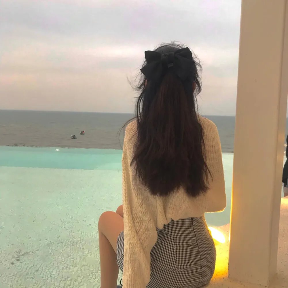 智者：大卫雀斯与黑道家族